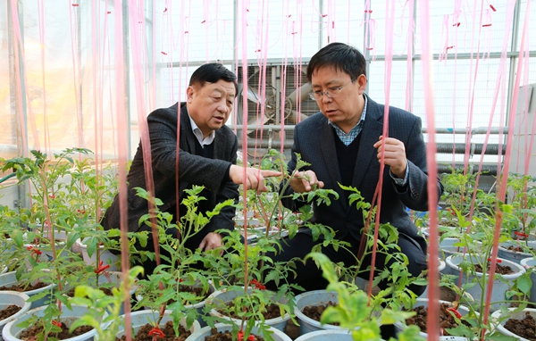 1设施专业学科带头人邹志荣教授与学生李建明教授在实验室里交流_副本.jpg